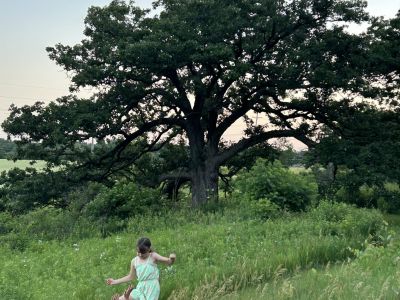 Two children playing with an oak in the background